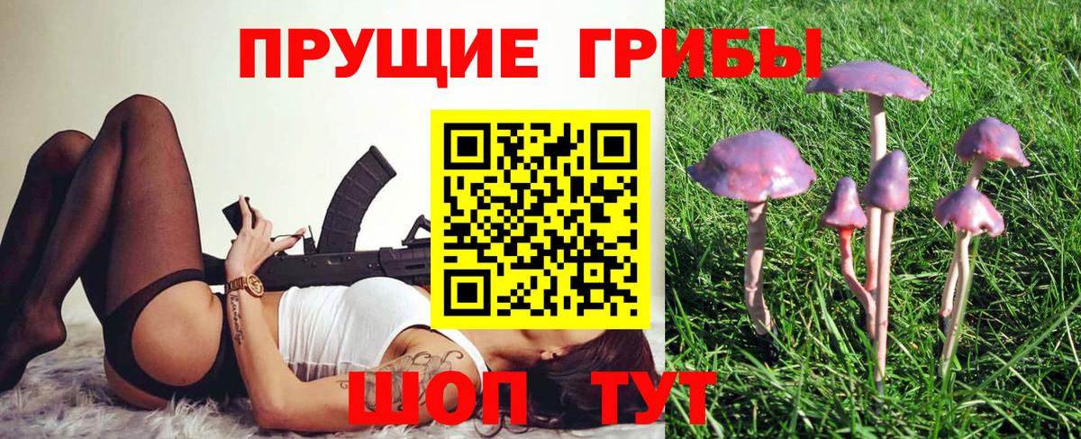Галлюциногенные грибы Cubensis Люберцы