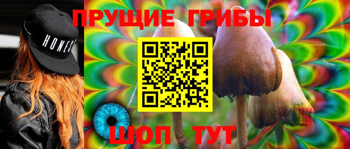 Люберцы  Галлюциногенные грибы GOLDEN TEACHER  Вход с VPN 